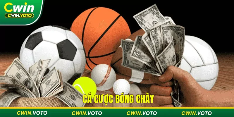 Cá cược bóng chày hấp dẫn cùng các giải đấu đỉnh cao 