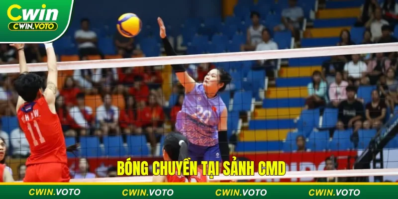 Thể thao bóng chuyền tại sảnh CMD